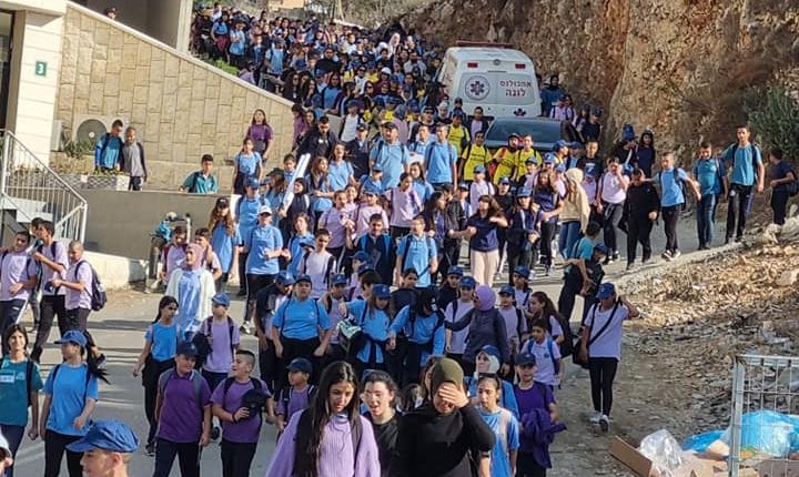 311588802_496296095867779_5399270884874391338_n