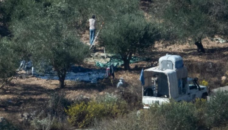 WhatsApp Image 2022-11-10 at 13.02.45