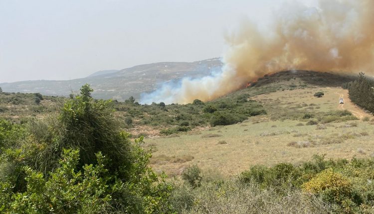 30b32a92-5d87-4b3f-832e-74693c7e5cf6