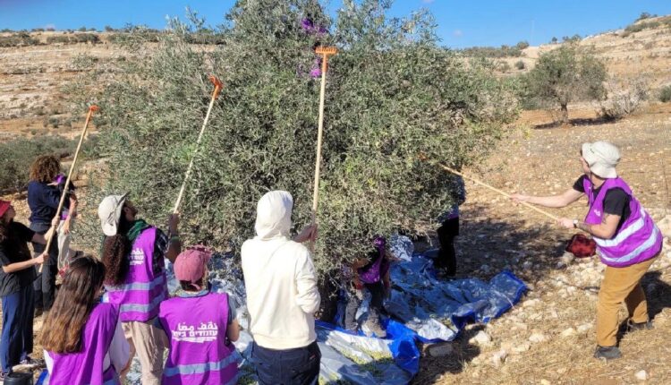 73032fa9-7c99-4552-b62c-ddc67c69537c