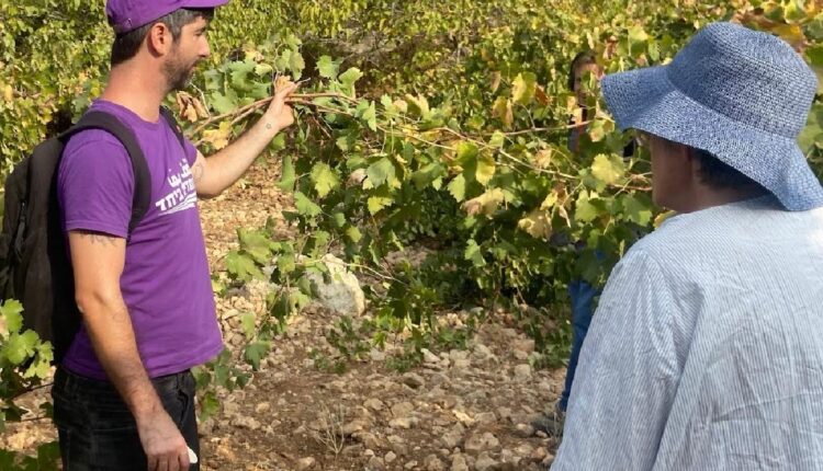 bc31e278-9e2e-426c-b989-4756f240c304