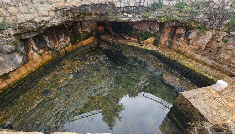 70e3412d-0483-45e6-9a22-60e634c572ed