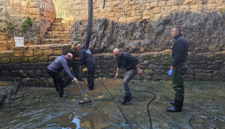 8c5110e3-2ecd-415a-b00e-8a86b3769a42