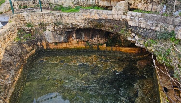 aee3ba2f-d017-4240-9cb9-d946486627a5