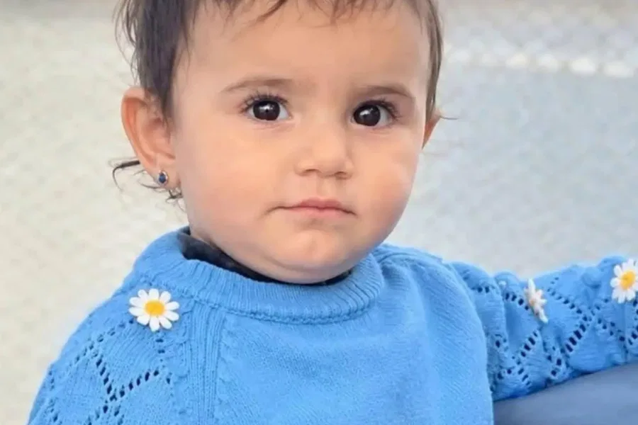 صورة الخبر