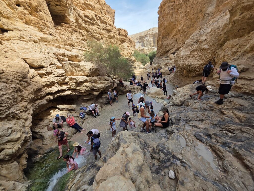 صورة الخبر